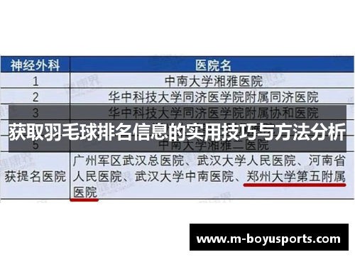 获取羽毛球排名信息的实用技巧与方法分析