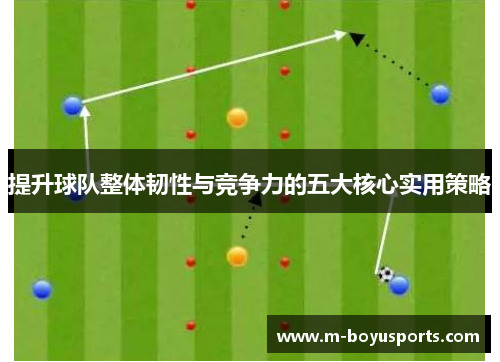 提升球队整体韧性与竞争力的五大核心实用策略